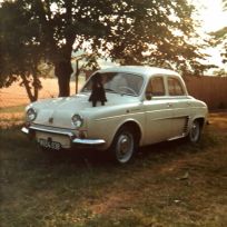 RENAULT DAUPHINE_1